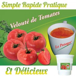 Velouté Tomate Gobelet Pré-Dosé Premium